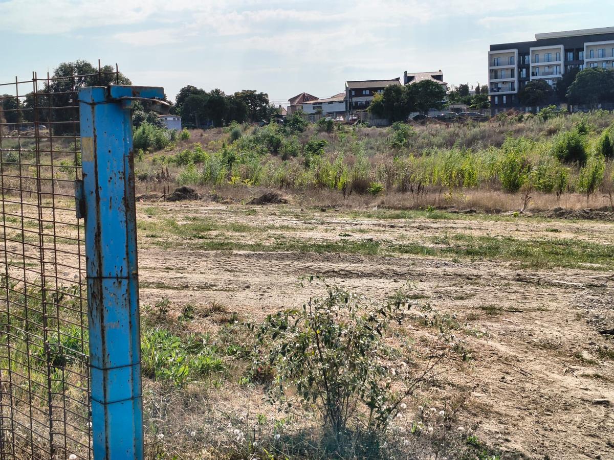 Stadion Gheorghe Hagi Constanța - „pădure” iulie 2026