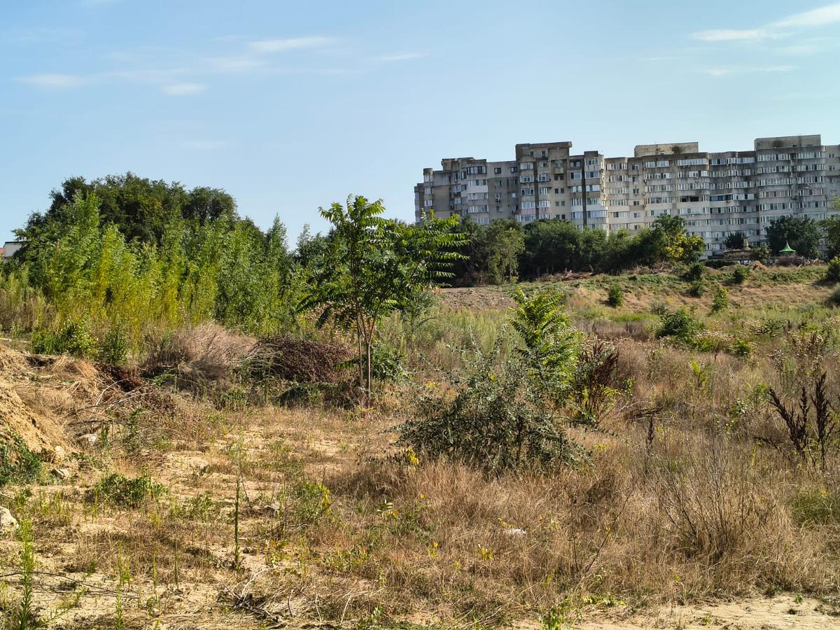 Stadion Gheorghe Hagi Constanța - „pădure” iulie 2026