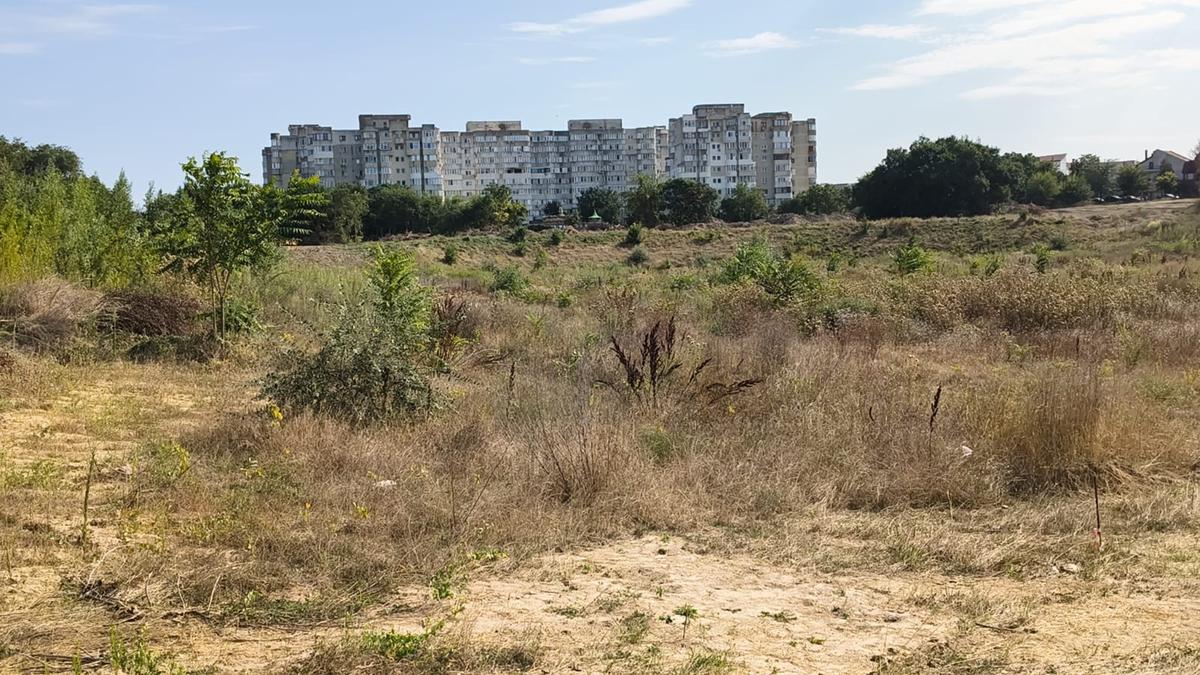Pădurea „Gheorghe Hagi”: cum arată „stadionul” din Constanța la 3 ani după demolare și zeci de promisiuni pentru startul lucrărilor