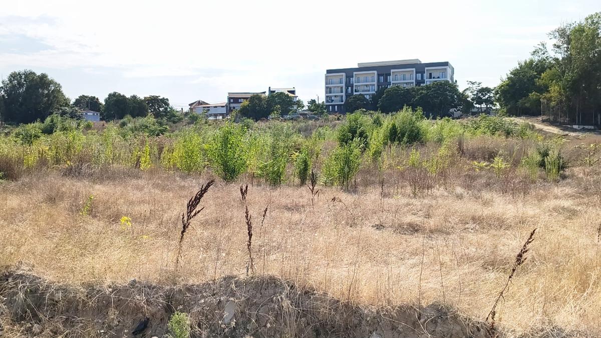 Stadion Gheorghe Hagi Constanța - „pădure” iulie 2026