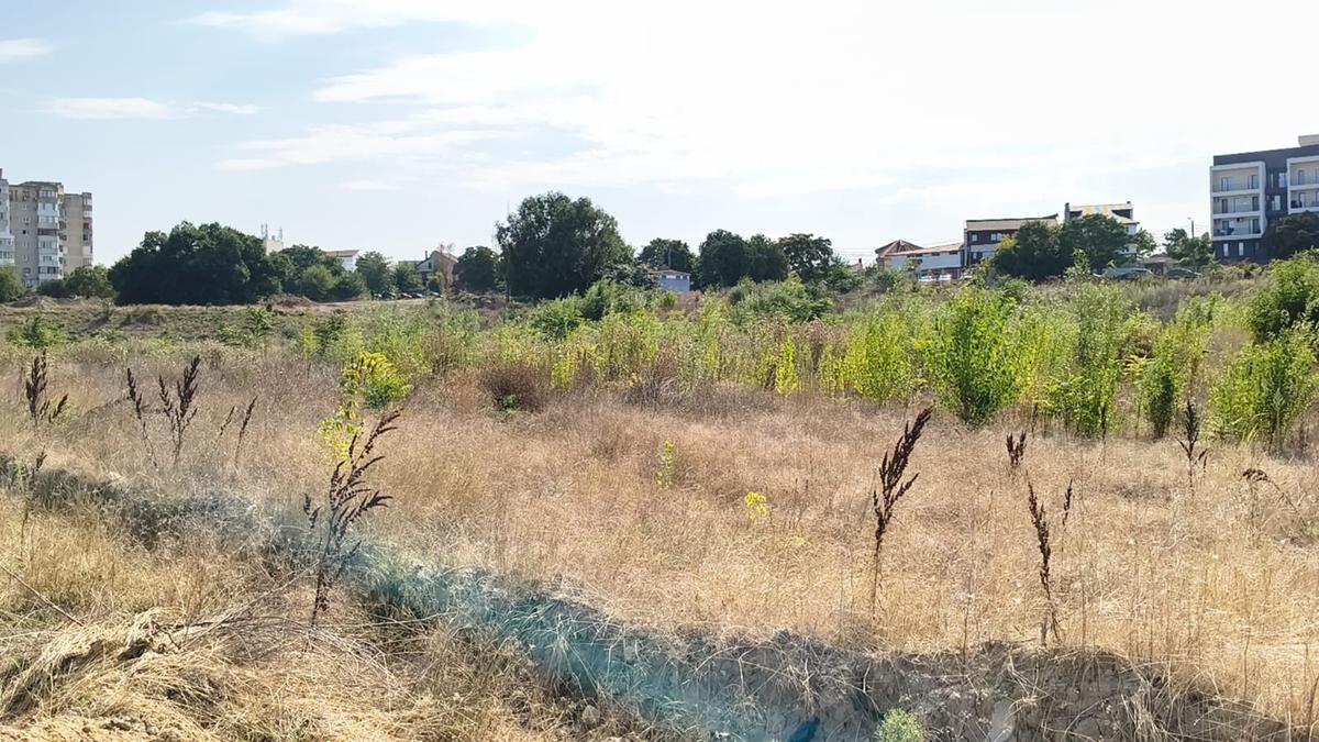 Pădurea „Gheorghe Hagi”: cum arată „stadionul” din Constanța la 3 ani după demolare și zeci de promisiuni pentru startul lucrărilor