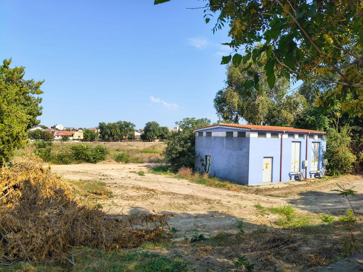 Pădurea „Gheorghe Hagi”: cum arată „stadionul” din Constanța la 3 ani după demolare și zeci de promisiuni pentru startul lucrărilor