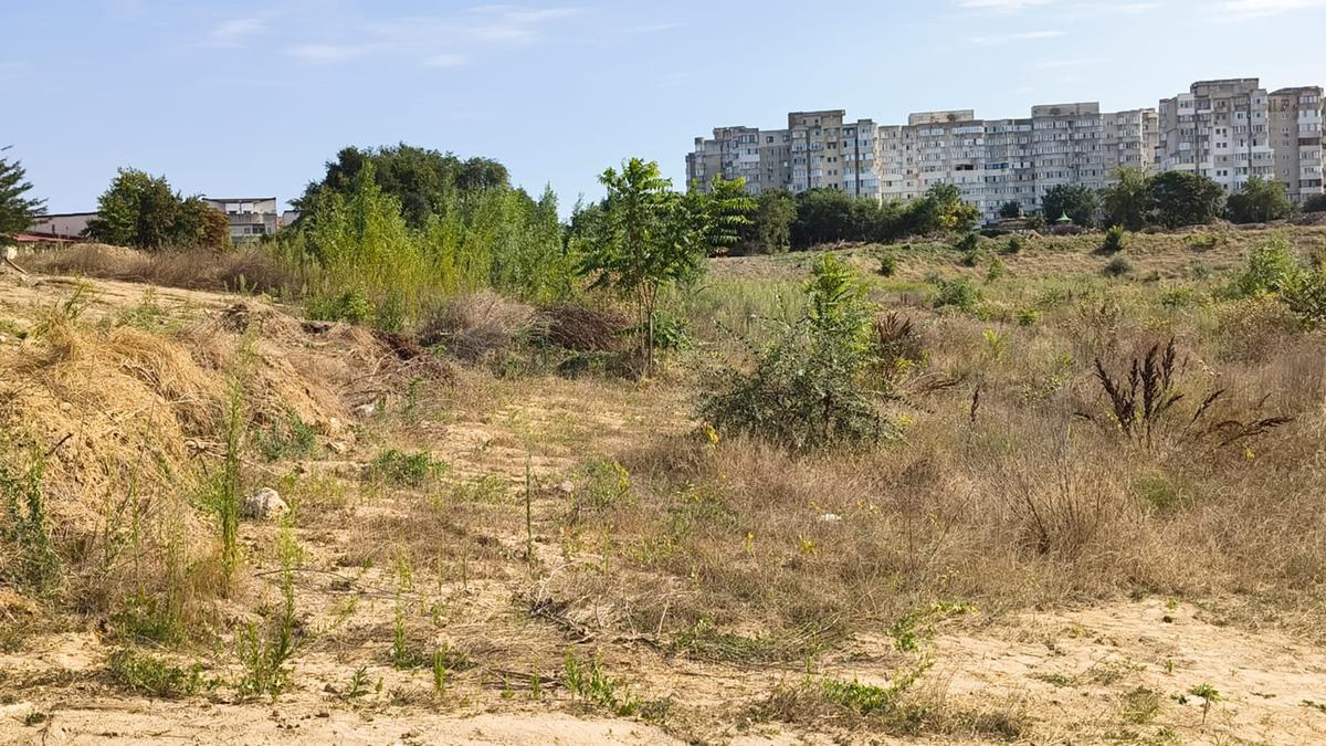 Stadion Gheorghe Hagi Constanța - „pădure” iulie 2026