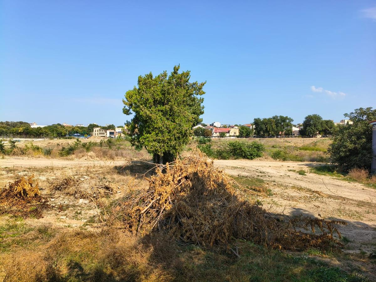 Stadion Gheorghe Hagi Constanța - „pădure” iulie 2026