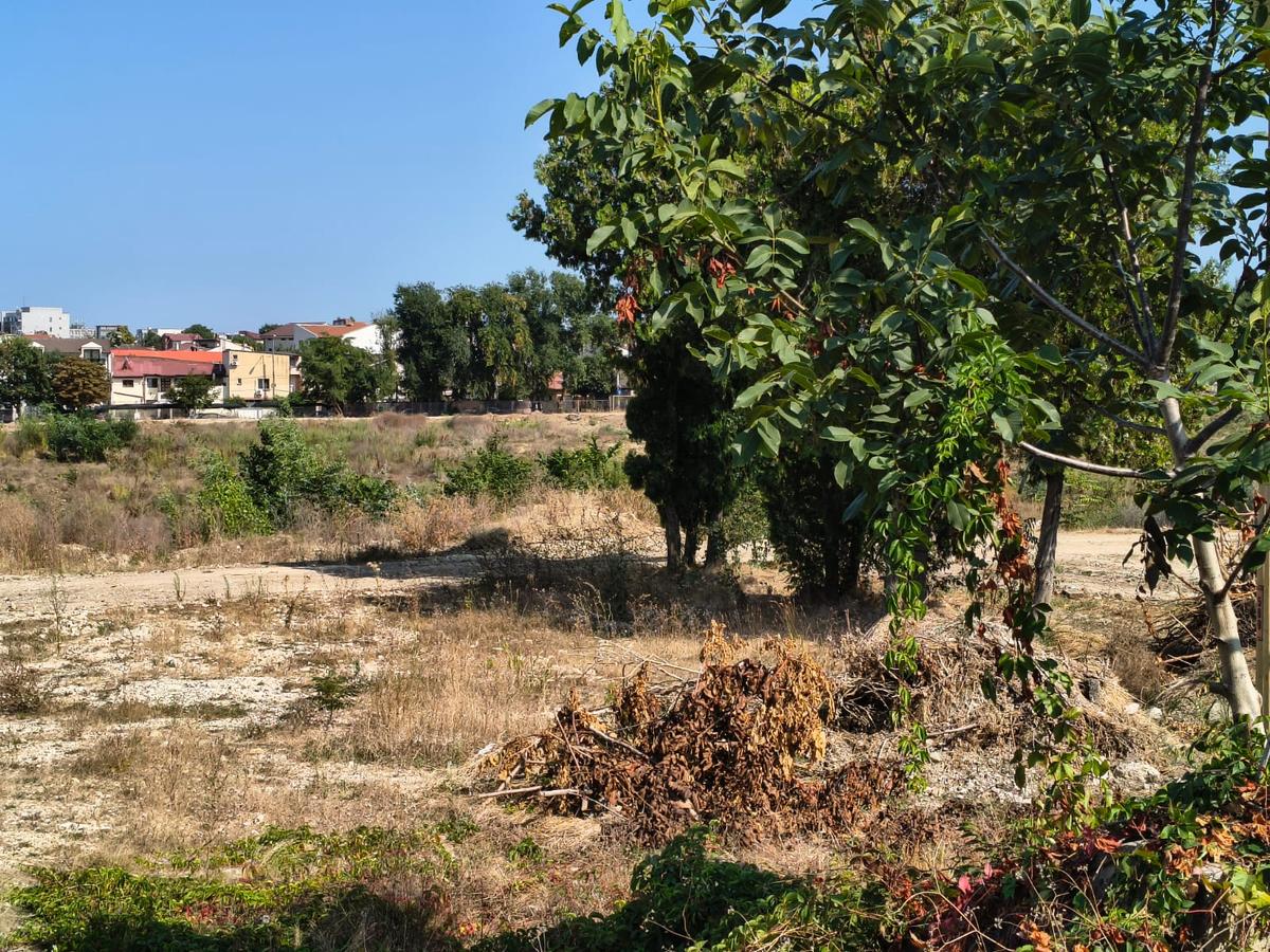 Stadion Gheorghe Hagi Constanța - „pădure” iulie 2026