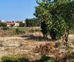 Pădurea „Gheorghe Hagi”: cum arată „stadionul” din Constanța la 3 ani după demolare și zeci de promisiuni pentru startul lucrărilor