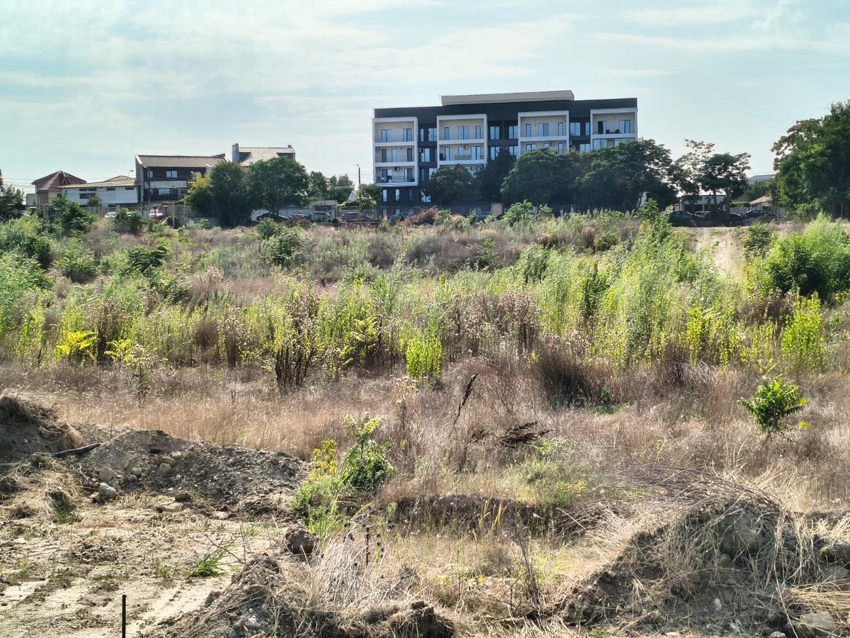Stadion Gheorghe Hagi Constanța - „pădure” iulie 2026