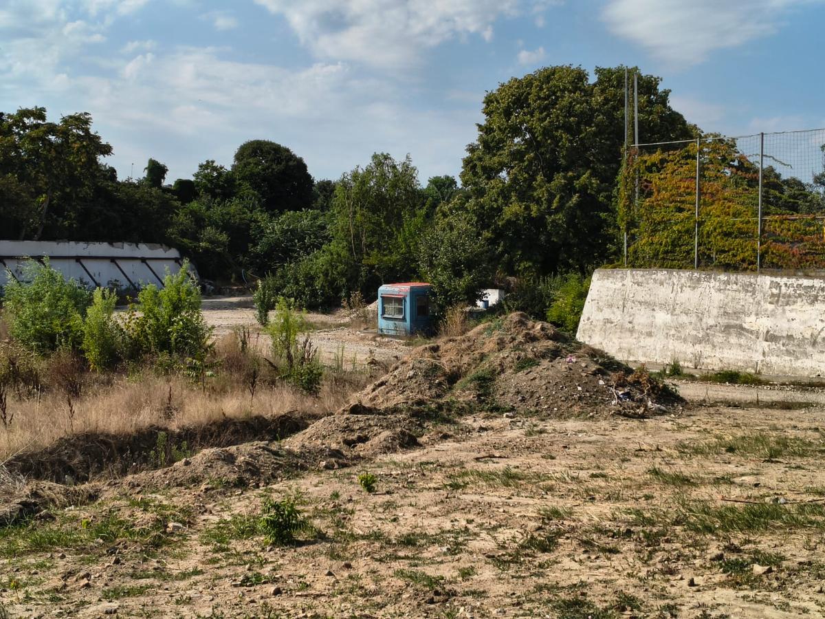 Stadion Gheorghe Hagi Constanța - „pădure” iulie 2026