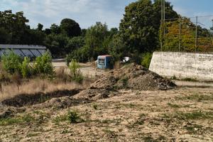 Vești noi despre stadionul din România transformat în „junglă urbană”: „Indiferent cine vine la guvernare!” + Crește contribuția de la bugetul local