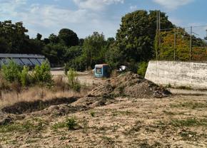 Vești noi despre stadionul din România transformat în „junglă urbană”: „E ca la Cazinoul Constanța!” + Crește contribuția de la bugetul local