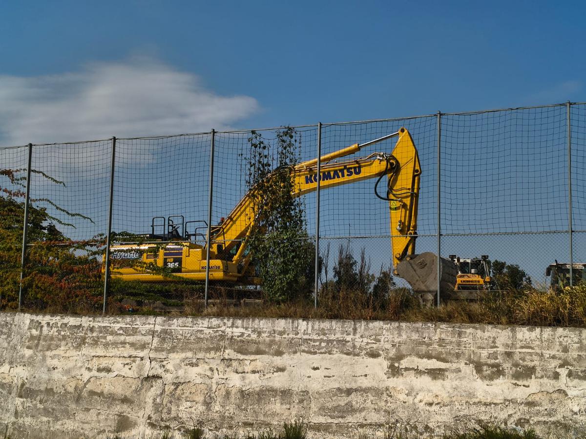Stadion Gheorghe Hagi Constanța - „pădure” iulie 2026