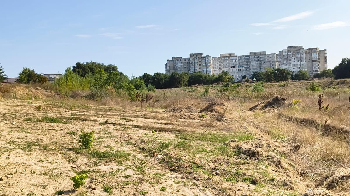 Stadion Gheorghe Hagi Constanța - „pădure” iulie 2026