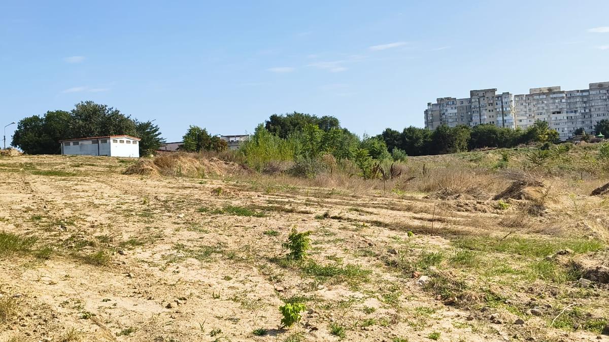 Pădurea „Gheorghe Hagi”: cum arată „stadionul” din Constanța la 3 ani după demolare și zeci de promisiuni pentru startul lucrărilor