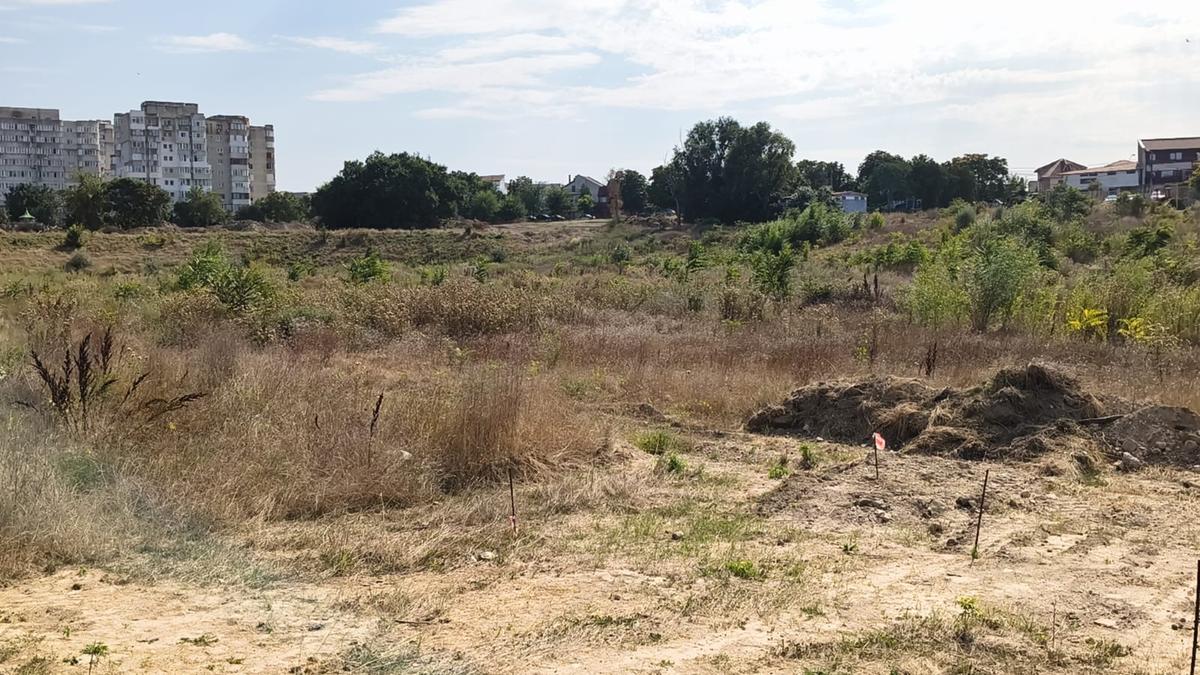 Stadion Gheorghe Hagi Constanța - „pădure” iulie 2026
