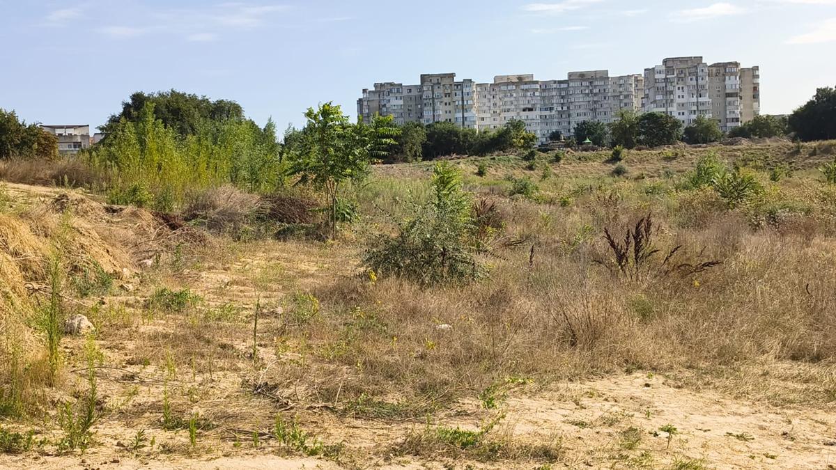 Stadion Gheorghe Hagi Constanța - „pădure” iulie 2026