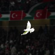 Konyaspor - Palestina, amical în Turcia // foto: Imago