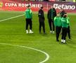 Dumbrăvița - Rapid, imagini înainte de meci