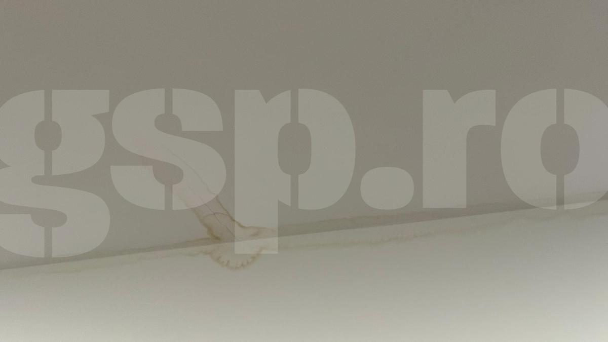 Fisuri și apă infiltrată la stadionul din Giulești
