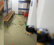 Ce a lăsat FCSB în vestiar după eșecul cu Gloria Bistrița/ foto: Eugen Cosma