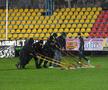 VOLUNTARI - FCSB // VIDEO+FOTO E OFICIAL! Partida a fost amânată din cauza vremii » Când s-ar putea juca