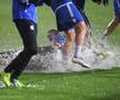 FOTO Voluntari - FCSB