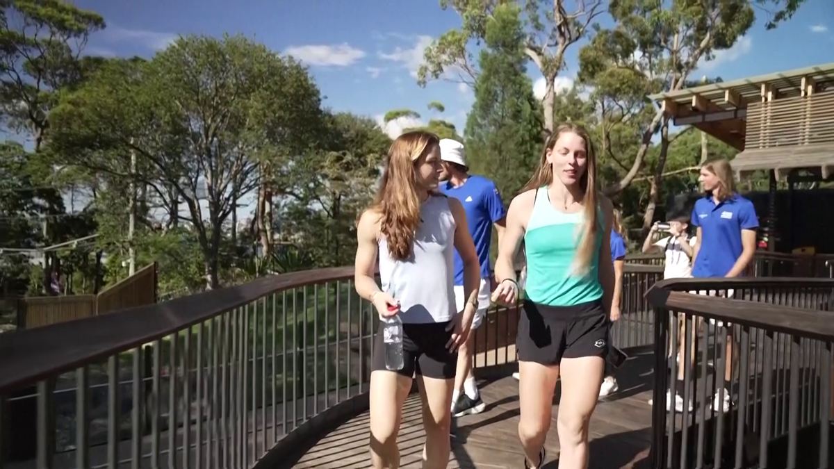 Maria Sakkari și Stefanos Tsitsipas au hrănit girafe la Grădina Zoologică Taronga din Australia