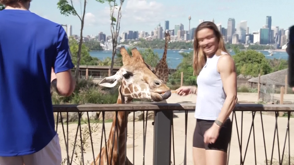 Maria Sakkari și Stefanos Tsitsipas au hrănit girafe la Grădina Zoologică Taronga din Australia
