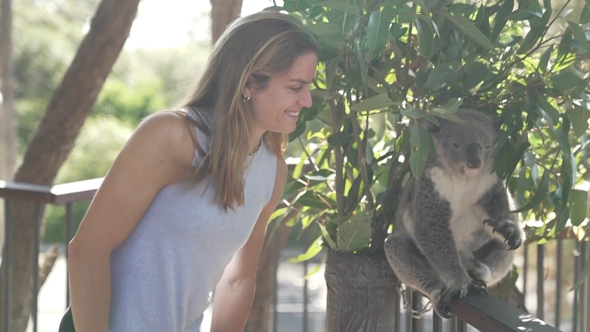 Maria Sakkari și Stefanos Tsitsipas au hrănit girafe la Grădina Zoologică Taronga din Australia