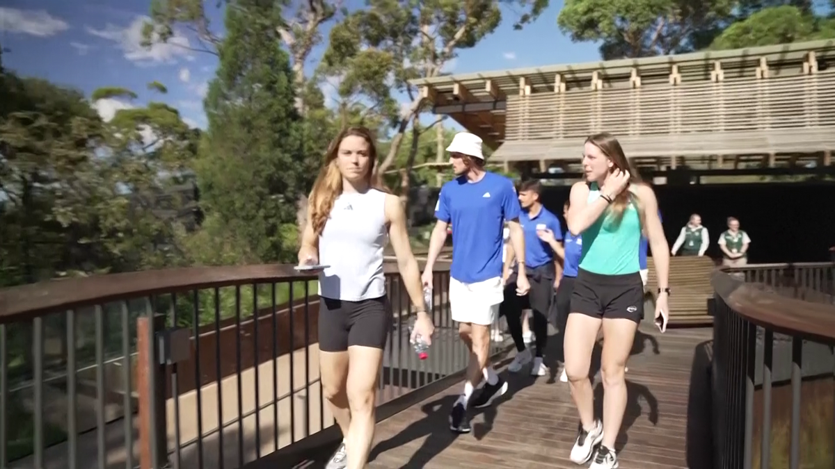 Maria Sakkari și Stefanos Tsitsipas au hrănit girafe la Grădina Zoologică Taronga din Australia
