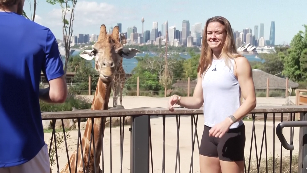 Maria Sakkari și Stefanos Tsitsipas au hrănit girafe la Grădina Zoologică Taronga din Australia