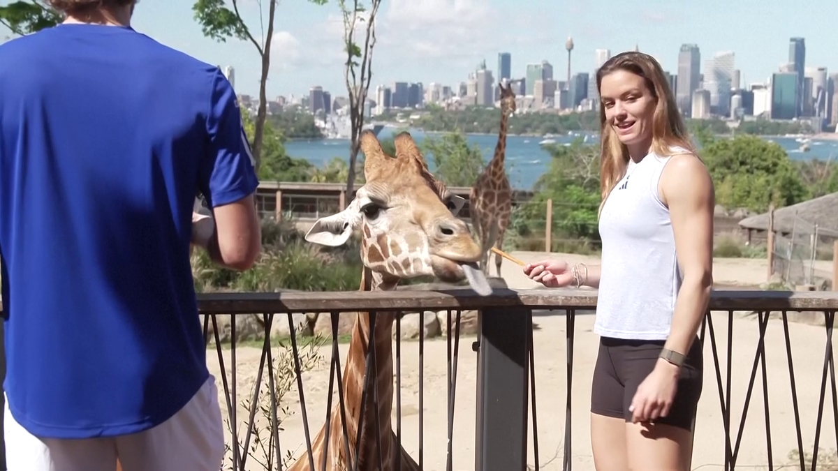 Maria Sakkari și Stefanos Tsitsipas au hrănit girafe la Grădina Zoologică Taronga din Australia