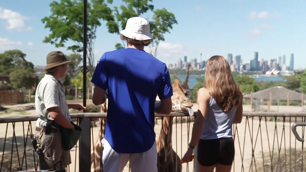 Maria Sakkari și Stefanos Tsitsipas au hrănit girafe la Grădina Zoologică Taronga din Australia