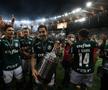 Palmeiras - Santos 1-0 finala Copei Libertadores