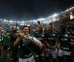 Palmeiras - Santos 1-0 finala Copei Libertadores