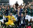 Palmeiras - Santos 1-0 finala Copei Libertadores