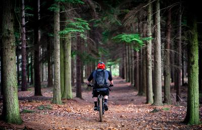 Aventuri pe două roți: ce trebuie să știi dacă mersul pe bicicletă este noul tău hobby