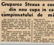 Un prim „trofeu” al Stelei, o cupă la miuță