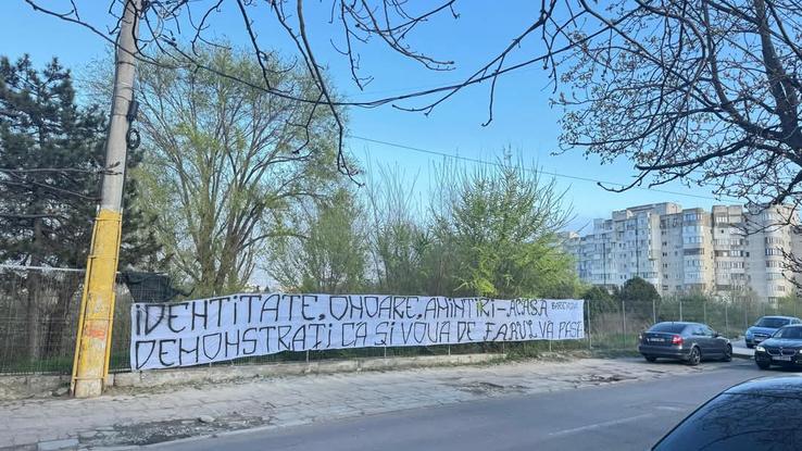 Sursă foto: Peluza Marină