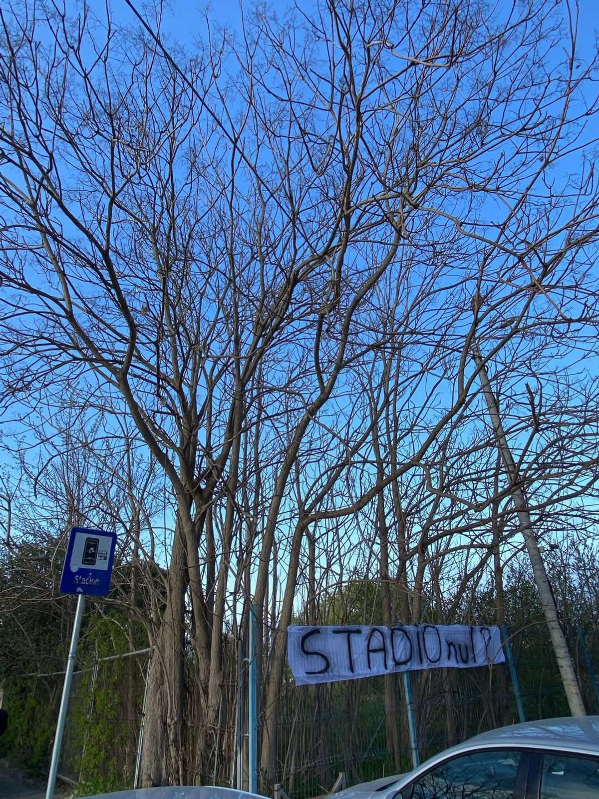Bannere Farul în Constanța