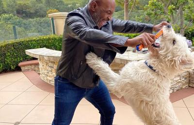 Revenirea lui Mike Tyson blocată? „Riscă să moară în ring. Mintea vrea, dar corpul nu-l mai ascultă”