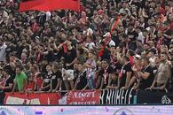 Dolha n-a fost singurul „ultras” celebru la Dinamo - FC Argeș » Ce sportivă a cântat tot meciul în primele rânduri din PCH