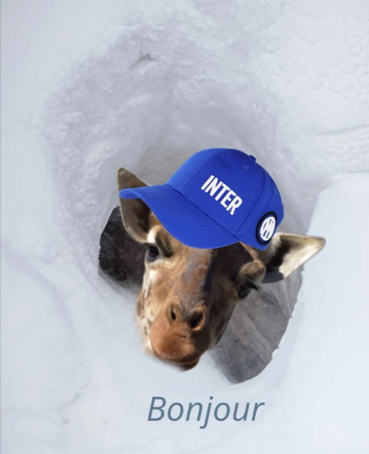 Cele mai tari meme-uri după PSG - Inter, finala Ligii Campionilor: el a fost ținta numărul 1!