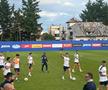 Gică Hagi, înainte de Georgia - România: „Kvaratskhelia are un singur defect”