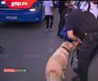 FCU Craiova, așteptată de jandarmi și câini la Arena Națională » Suspiciunea forțelor de ordine