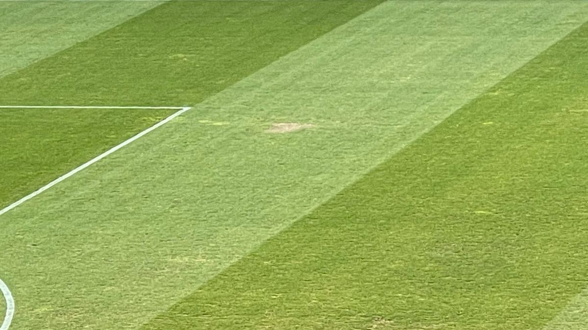 Dinamo - Sepsi 0-3 » Superliga, prea tare pentru Dinamo » Trupa lui Ovidiu Burcă, înfrângere severă cu Sepsi