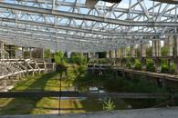 Natura a pus stăpânire pe „Flamaropol” » De 10 ani, patinoarul rămâne o enigmă pentru primarii din București
