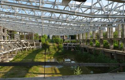 Natura a pus stăpânire pe „Flamaropol” » De 10 ani, patinoarul rămâne o enigmă pentru primarii din București
