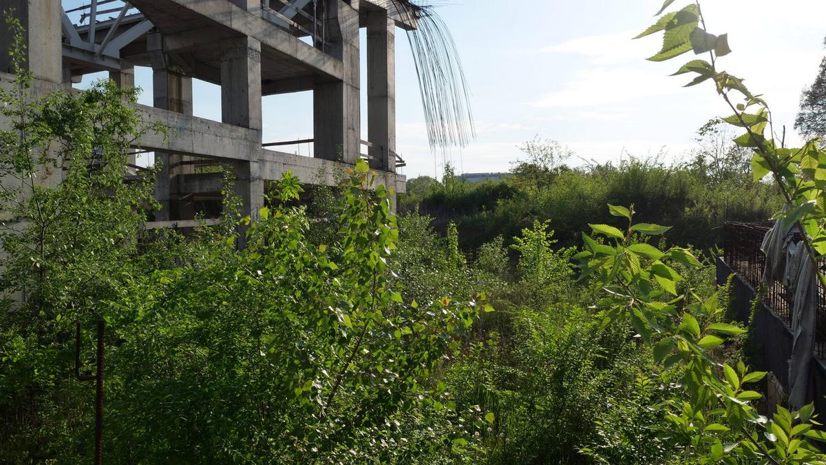 FOTO Patinoarul Flamaropol