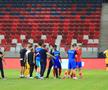 Adrian Șut, reacție direct de pe gazon: „Am făcut țara mândră!”