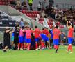 Adrian Șut, reacție direct de pe gazon: „Am făcut țara mândră!”